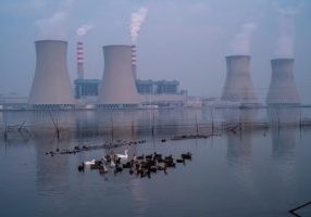 2H259X9 A flock of poultry roaming on the water in front of the power plant at dusk in Tianjin, China. 19-Oct-2021