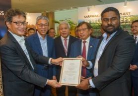 Lawrence-Chia-Samling