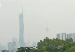 WhatsApp Image 2023-10-10 at 11.54.59_7657c9c1