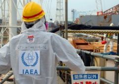 Source: IEAEA: Team Leader Juan Carlos Lentijo, IAEA Director of Nuclear Fuel Cycle and Waste Technology, examines recovery work on top of Unit 4 of TEPCO's Fukushima Daiichi Nuclear Power Station as part of a mission to review Japan's plans to decommission the facility, 17 April 2013. (Photo: G. Webb/IAEA)